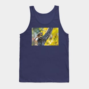 Autumn Kestrel Tank Top